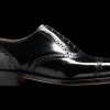 Alfred - Black Hi-Shine