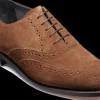 Chancery - Castagnia Suede