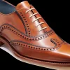 Spencer - Antique Rosewood / Navy Calf
